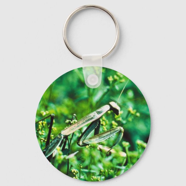 Praying Mantis Key Ring (Front)