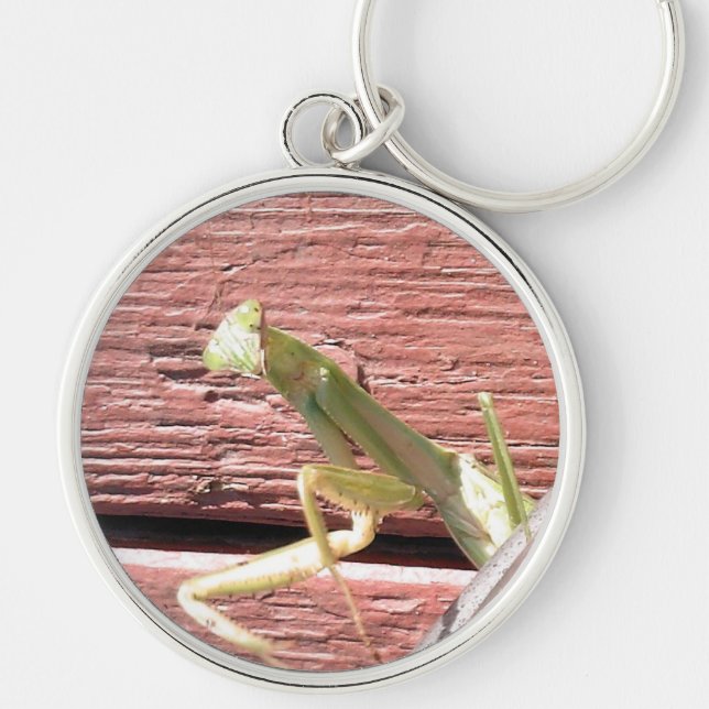 Praying Mantis Key Ring (Front)