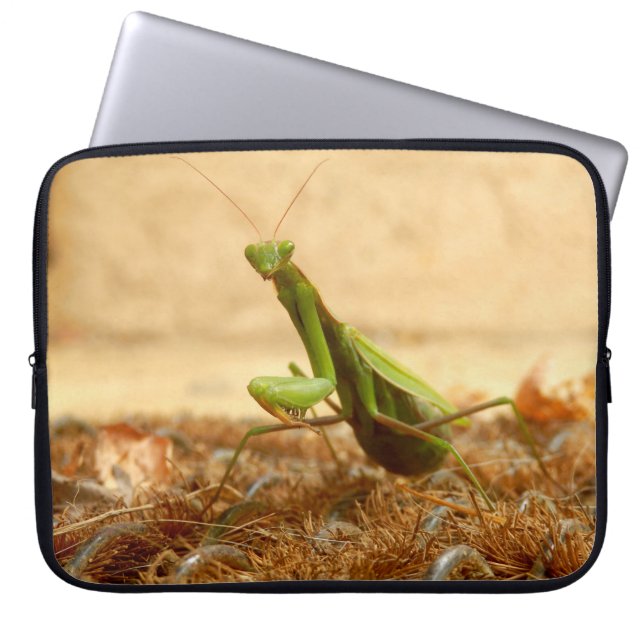 Praying Mantis Laptop Sleeve (Front)