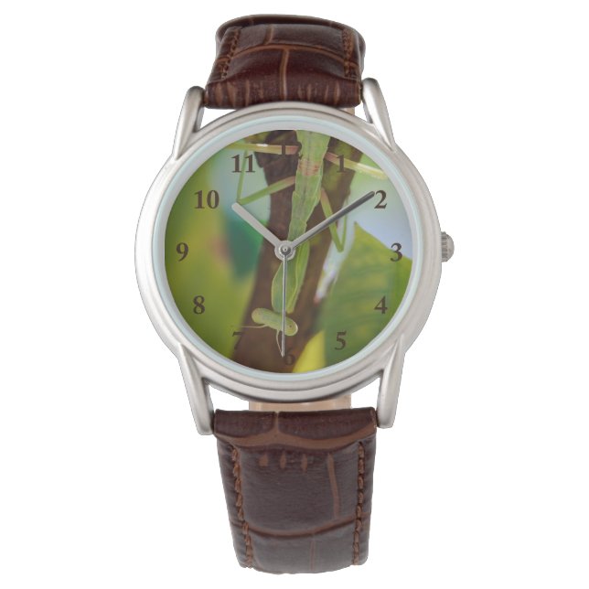 Praying Mantis Leather Watch (Front)