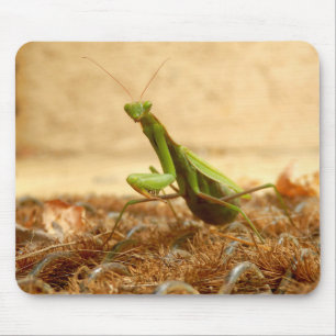 Praying Mantis Mouse Mat