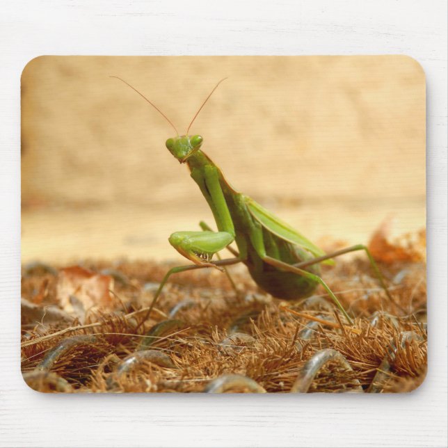 Praying Mantis Mouse Mat (Front)