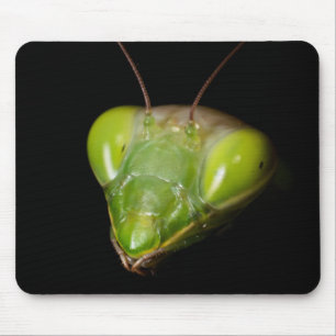 Praying mantis mouse mat