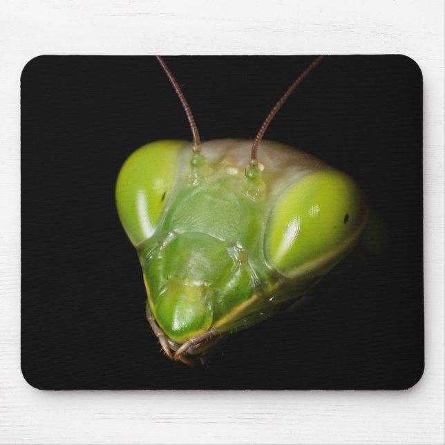 Praying mantis mouse mat (Front)