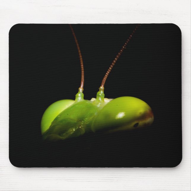 Praying mantis mouse mat (Front)