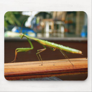 Praying Mantis Mouse Mat