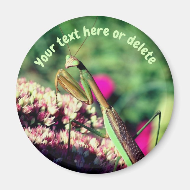 Praying Mantis Nature Personalized Magnet (Front)