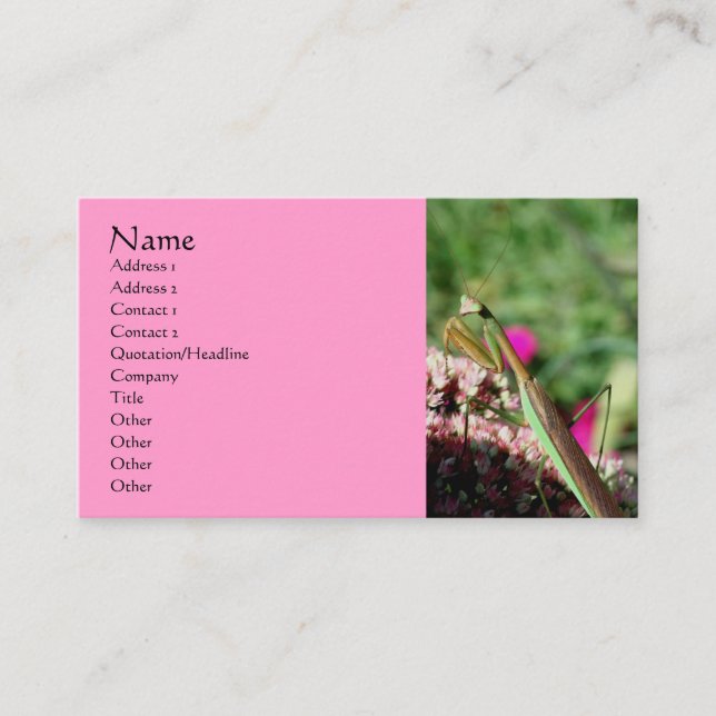 Praying Mantis Nature Photography Business Card (Front)