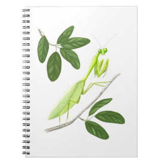 Praying Mantis Notebook