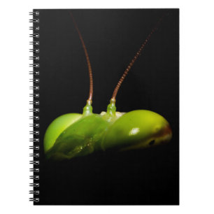 Praying mantis notebook