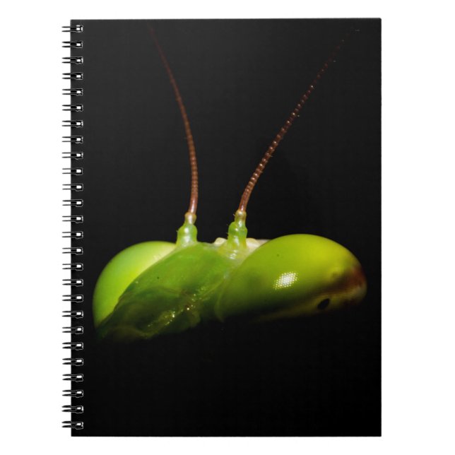 Praying mantis notebook (Front)