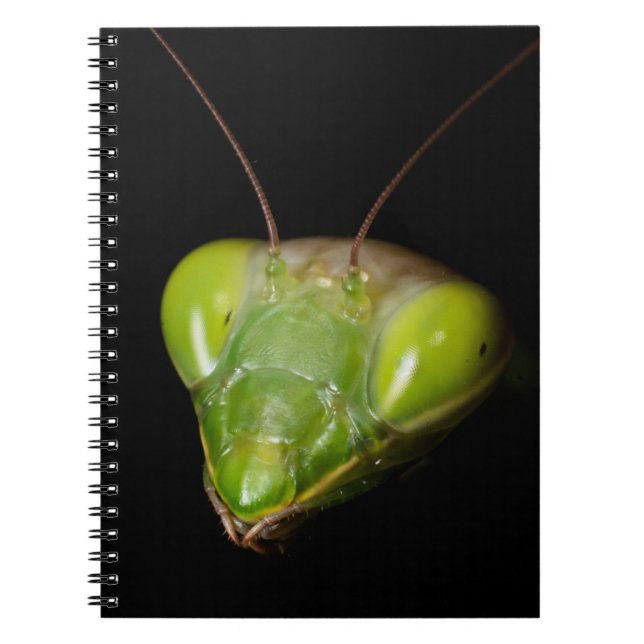Praying mantis notebook (Front)