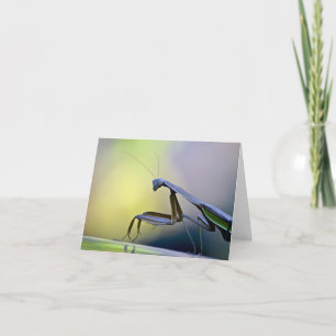 Praying Mantis Notecard