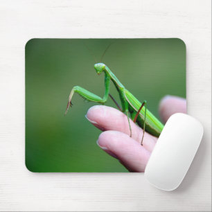 Praying Mantis On A Hand Mouse Mat