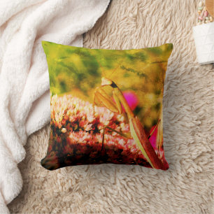 Praying Mantis On Sedum Flower Art Cushion
