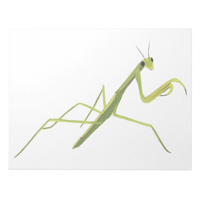 Praying Mantis Painting Notepad (Front)