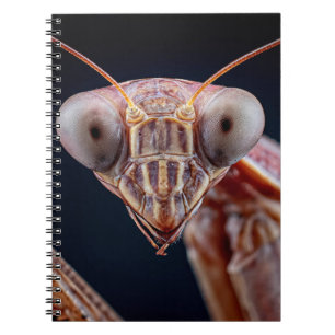 Praying Mantis Portrait Notebook
