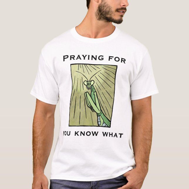 Praying Mantis Praying for You know what Funny Bug T-Shirt (Front)