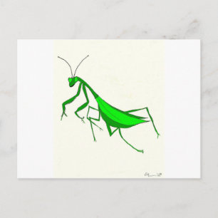 Praying Mantis Products Postcard