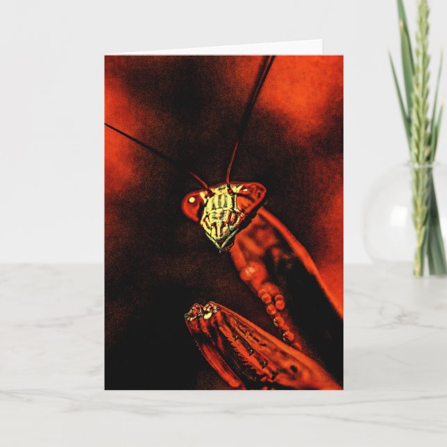 Praying Mantis - Red Nightmare Card (Front)