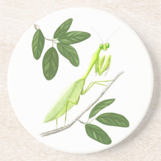 Praying Mantis Sandstone Coaster