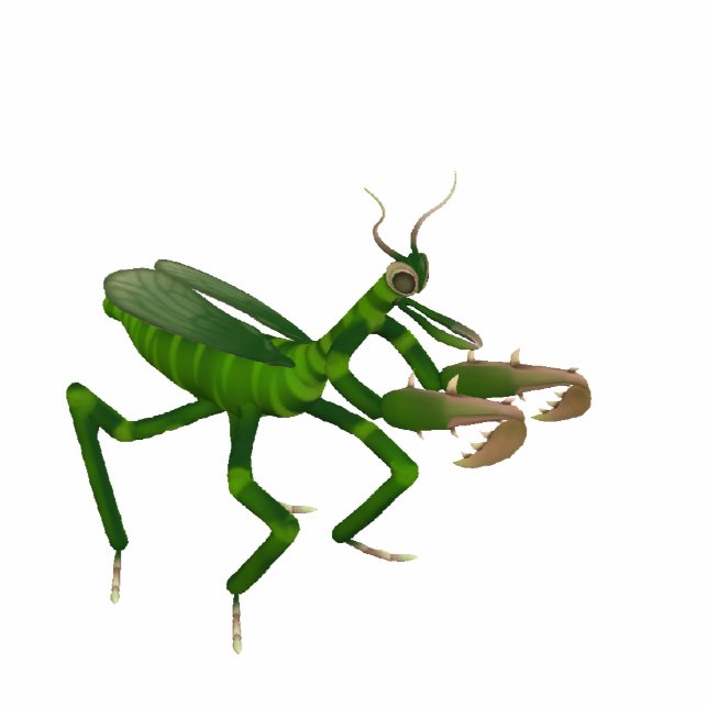 Praying Mantis Sculpture Standing Photo Sculpture (Front)