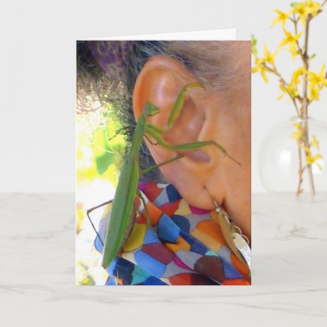 Praying Mantis shares a secret  - card (Yellow Flower)