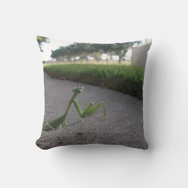 Praying Mantis Throw Pillow (Front)