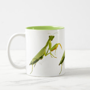 Praying Mantis Two-Tone Coffee Mug