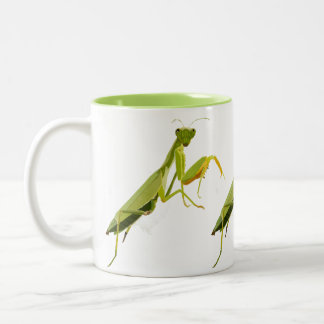 Praying Mantis Two-Tone Coffee Mug
