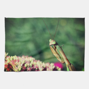 Praying Mantis Up Close Tea Towel
