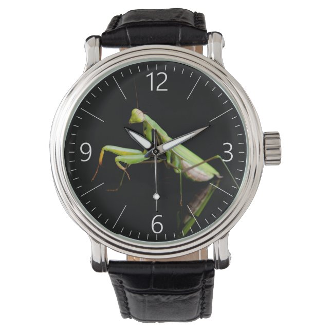 Praying mantis watch (Front)