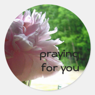 Praying Pink Peony Classic Round Sticker