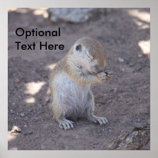 Praying Squirrel Poster Enlargement