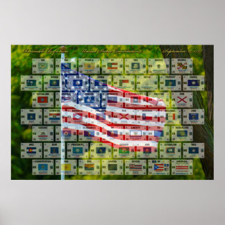 Preamble Perfection - U.S. Constitution Poster