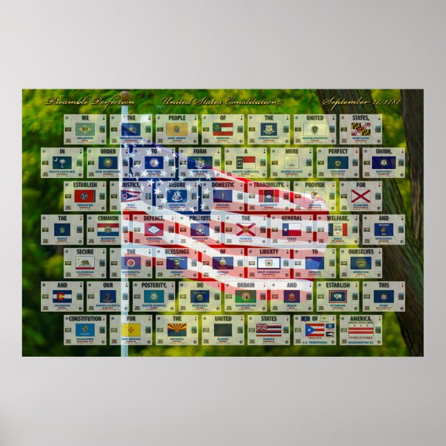 Preamble Perfection - U.S. Constitution Poster (Front)
