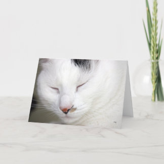 Precious 2, Get Well Soon Card