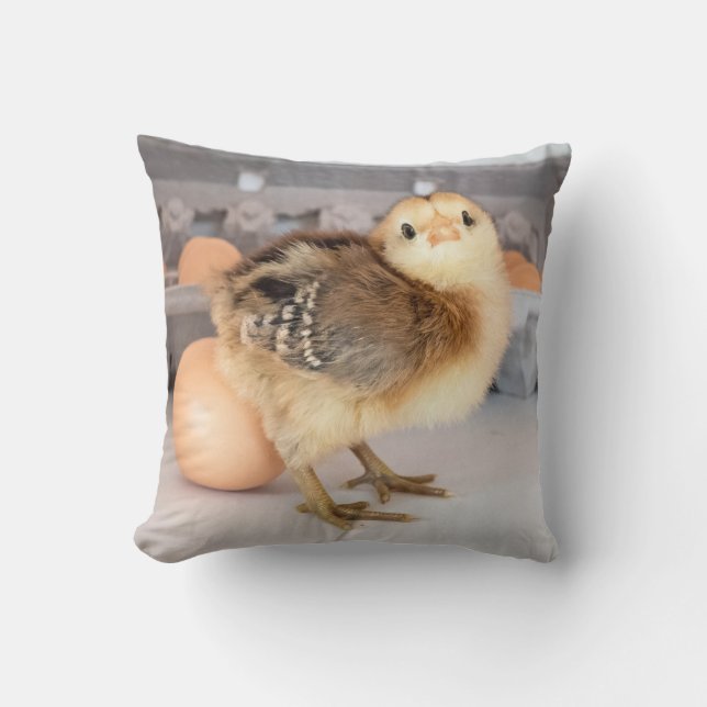 Precious Baby Chick and Eggs Cushion (Front)