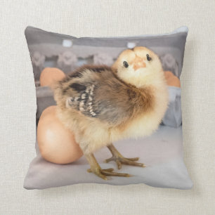 Precious Baby Chick and Eggs Cushion