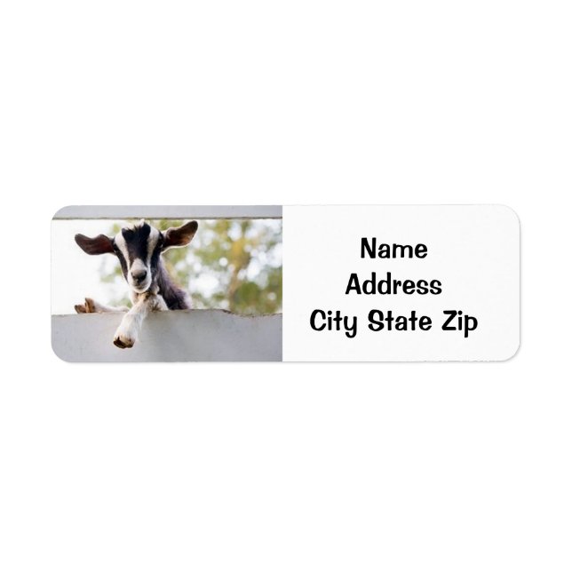 PRECIOUS BABY GOAT ADDRESS LABELS (Front)