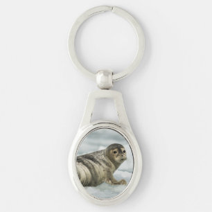 Precious Baby Seal Key Ring