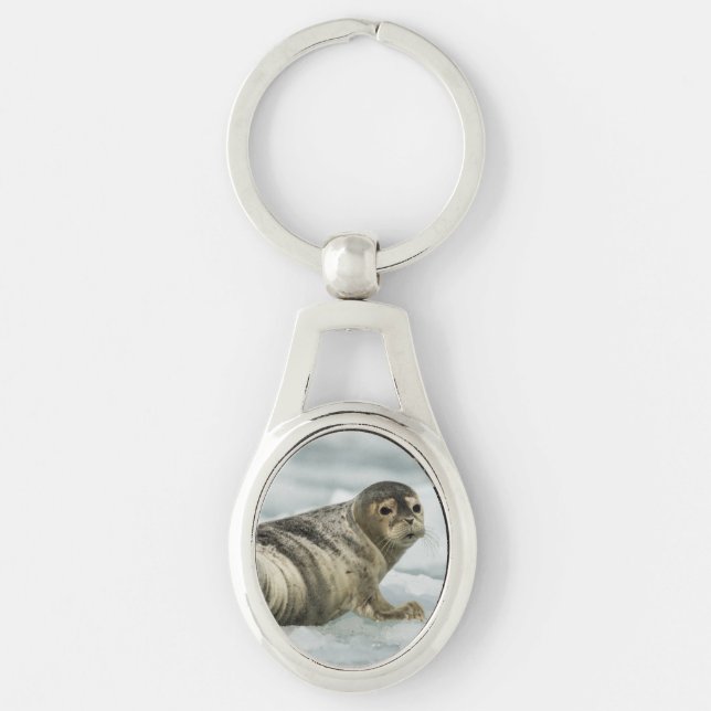 Precious Baby Seal Key Ring (Front)