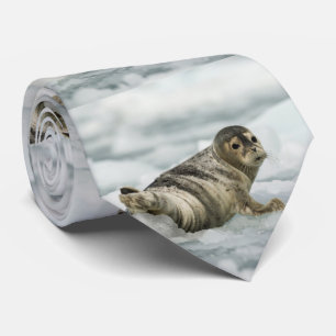 Precious Baby Seal Tie
