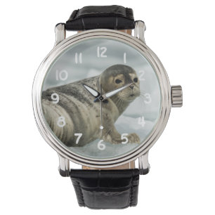 Precious Baby Seal Watch
