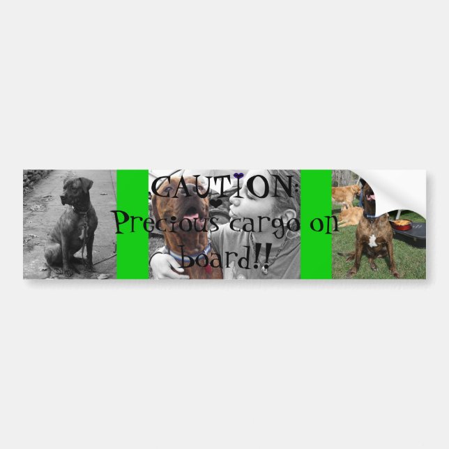 Precious Cargo Bumper Sticker (Front)