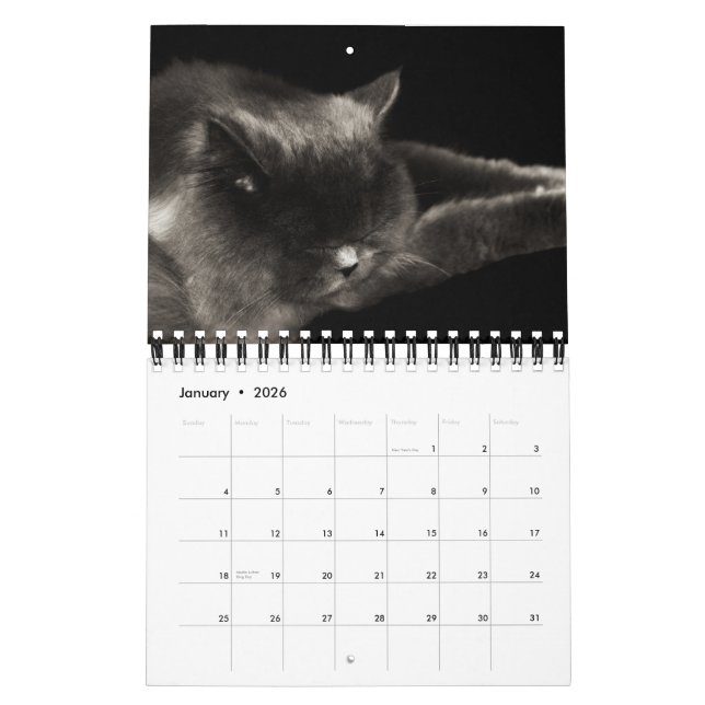 Precious Cats 2012 Calendar (Jan 2026)