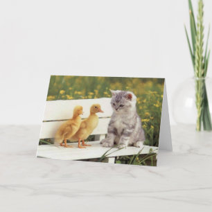 Precious Cats, Kittens Cards, Gifts -  Customise! Card