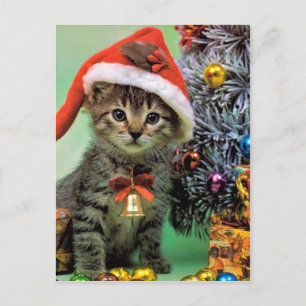Precious Christmas Cat Holiday Postcard