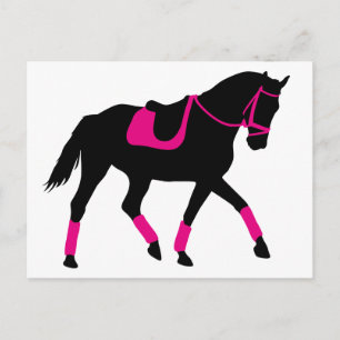 Precious Dressage Horse Postcard