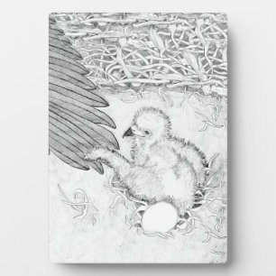 PRECIOUS E14 TAKES OZZIE'S WING WITH EGGBERT2 PLAQUE